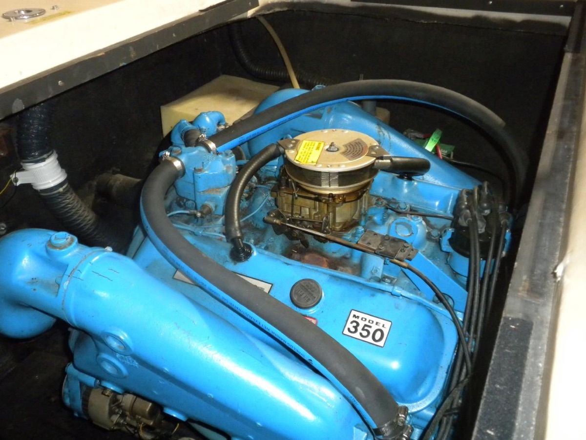 1983 Century Cardel - image 6