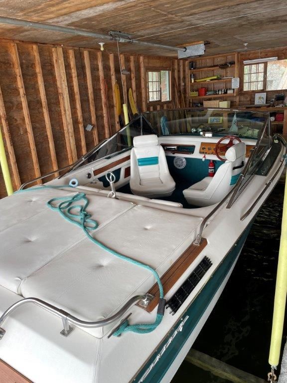 1993 Century Arabian - image 3