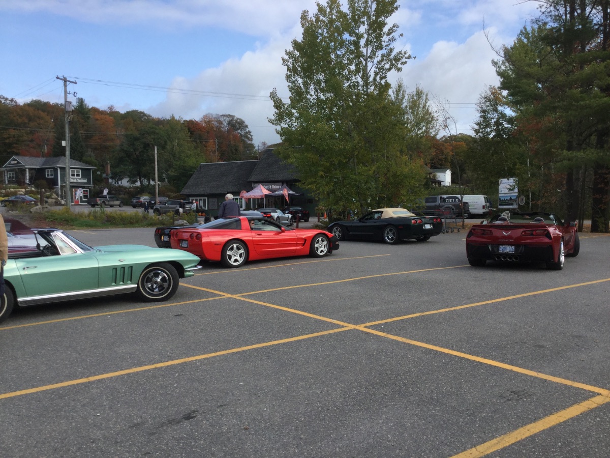 2011 Clarion Gentlemen’s racer - image 5